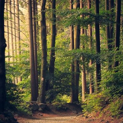 亿博电竞官网登录