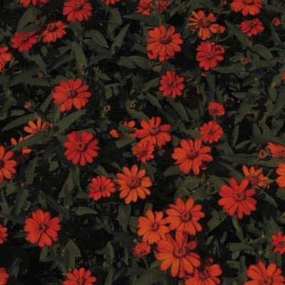 亿博电竞官网登录截图